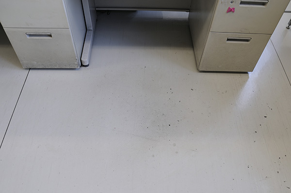 事務所の床清掃前。やはり黒い汚れが点々と